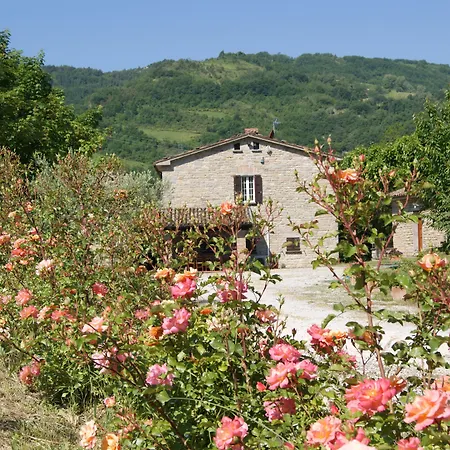 Corte Dei Mori Brisighella
