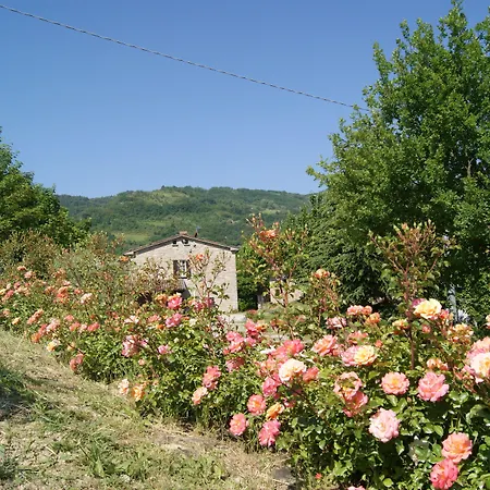 Alloggio per agriturismo Corte Dei Mori *