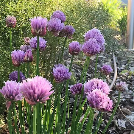 Alloggio per agriturismo Corte Dei Mori