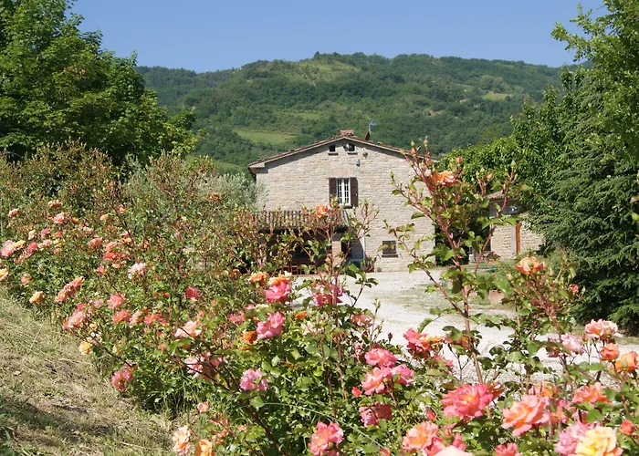 Corte Dei Mori Бризигелла