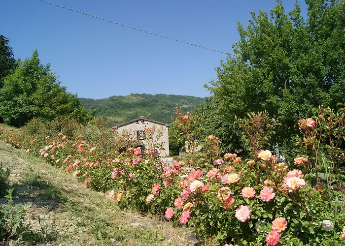 Фермерский дом Corte Dei Mori *